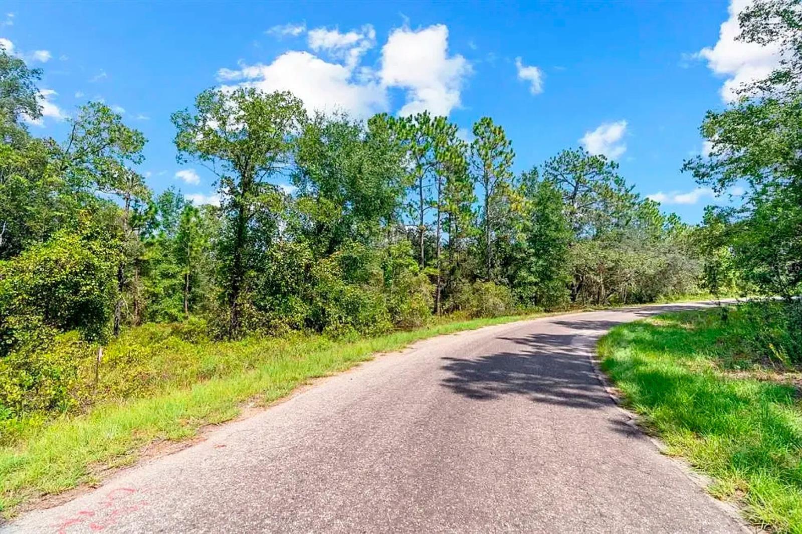 175 FISHER LN CT, OCKLAWAHA, FL, 32179
