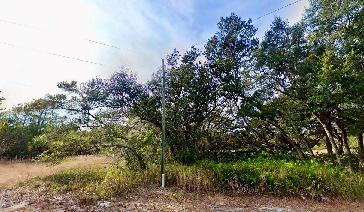 175 FISHER LN CT, OCKLAWAHA, FL, 32179