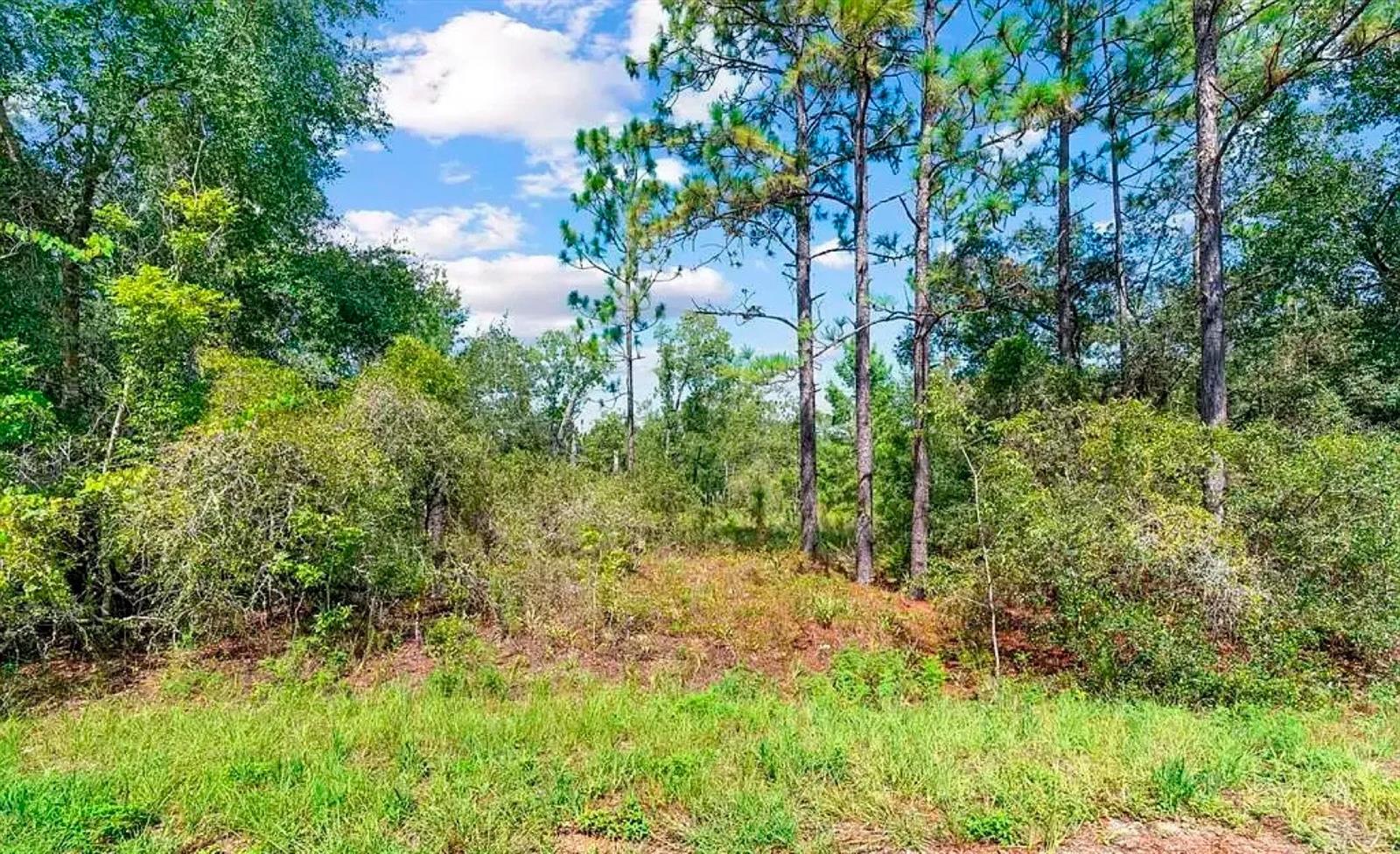 175 FISHER LN CT, OCKLAWAHA, FL, 32179