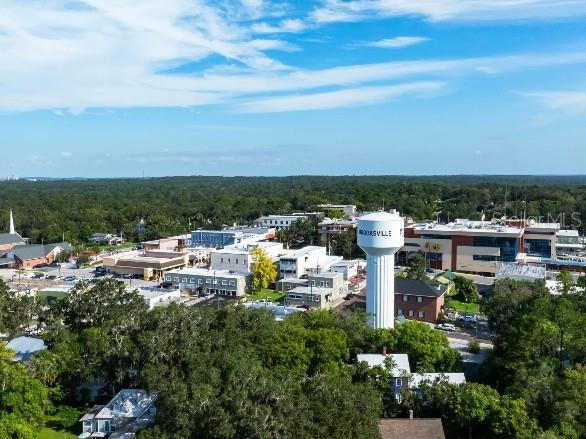 31412 MALBEC DR, BROOKSVILLE, FL, 34602