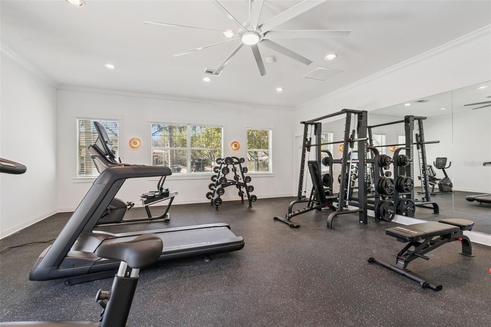 12715 TAYLOR NICOLAS DR, TAMPA, FL, 33612