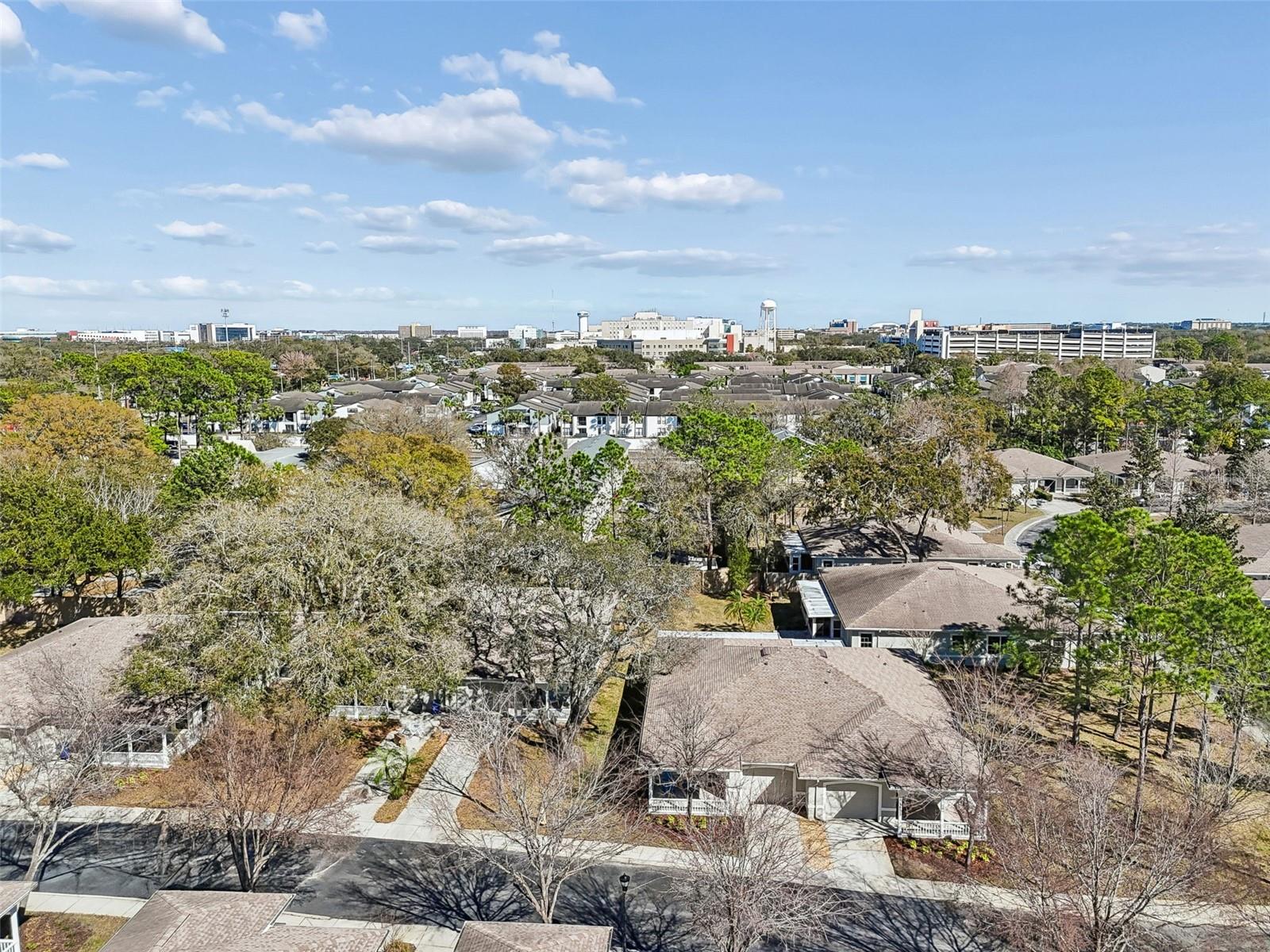 12715 TAYLOR NICOLAS DR, TAMPA, FL, 33612