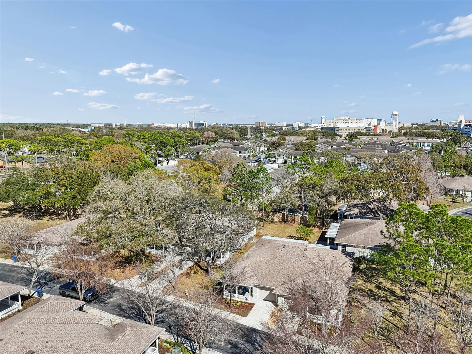 12715 TAYLOR NICOLAS DR, TAMPA, FL, 33612