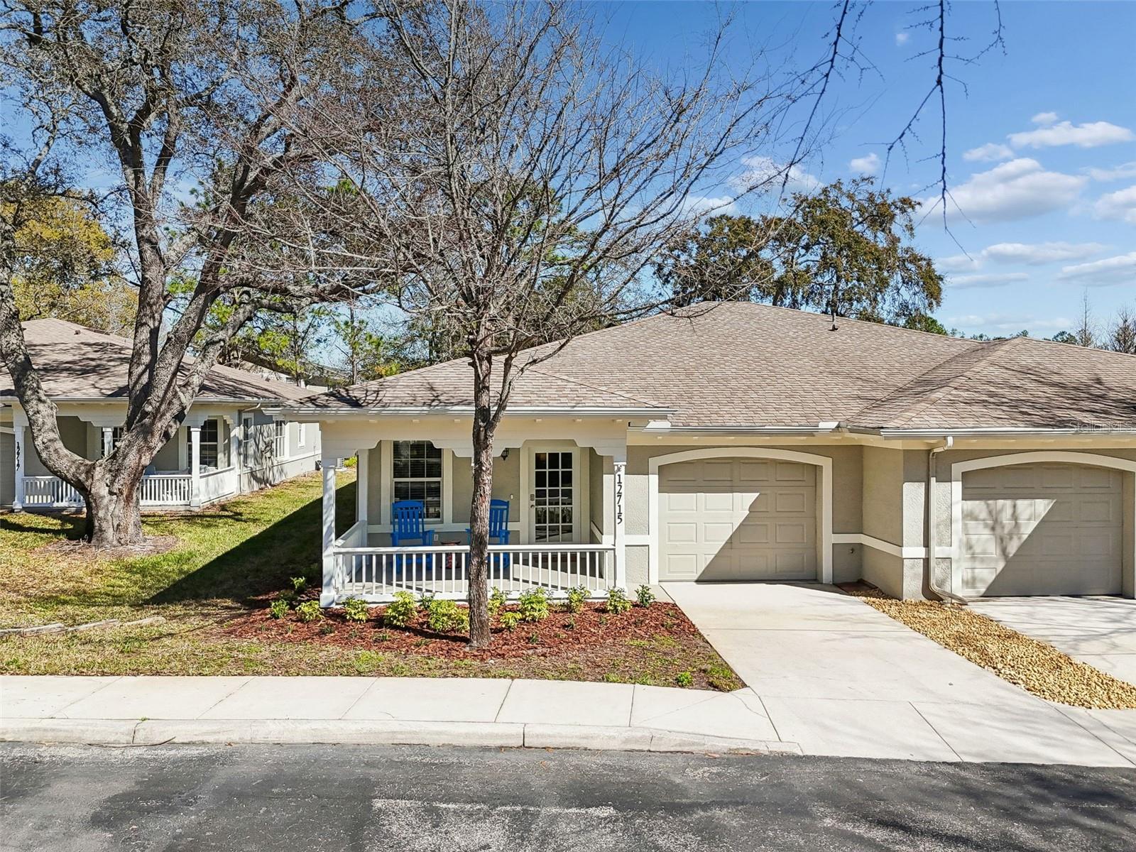 12715 TAYLOR NICOLAS DR, TAMPA, FL, 33612