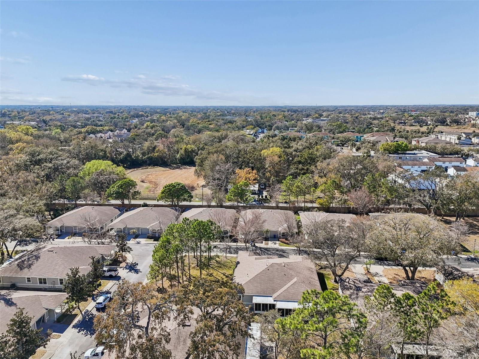 12715 TAYLOR NICOLAS DR, TAMPA, FL, 33612