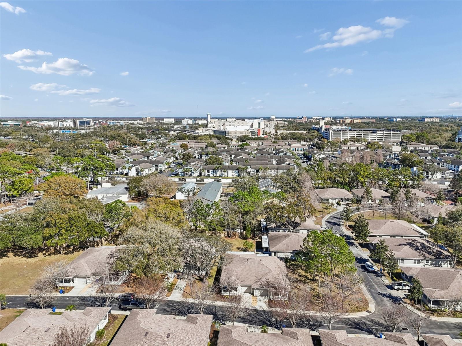 12715 TAYLOR NICOLAS DR, TAMPA, FL, 33612