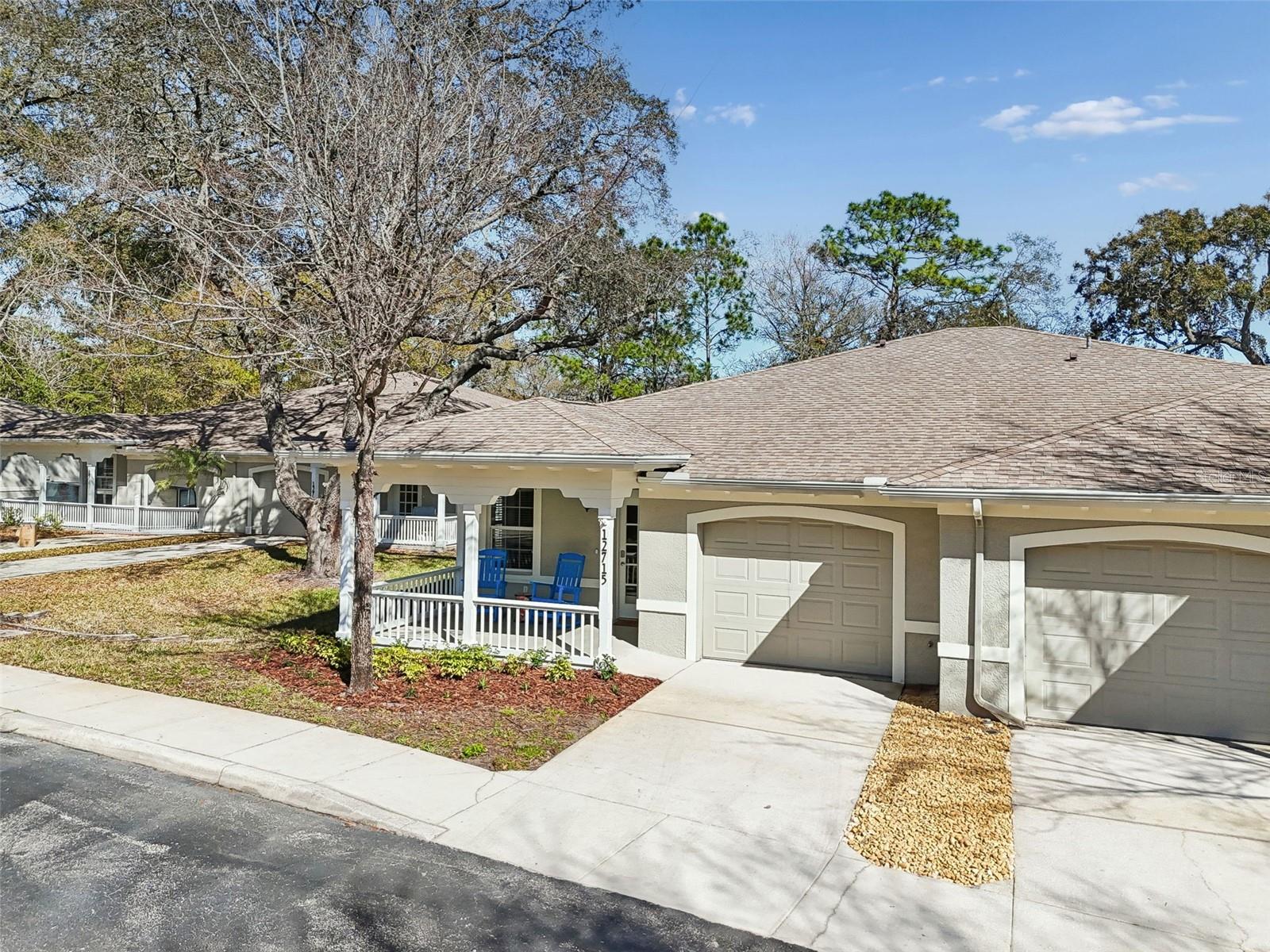 12715 TAYLOR NICOLAS DR, TAMPA, FL, 33612