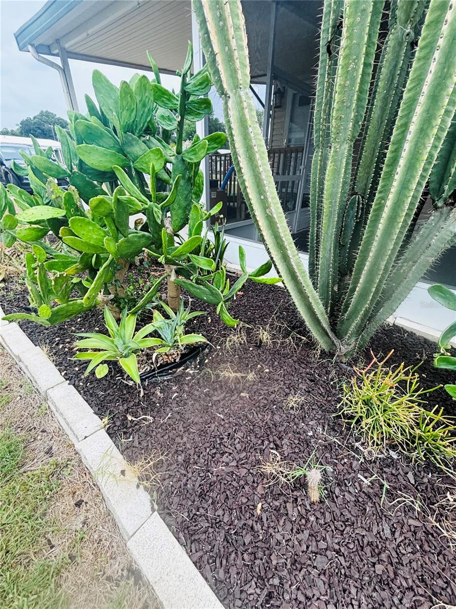34445 COUNTRYSIDE DR, WESLEY CHAPEL, FL, 33543