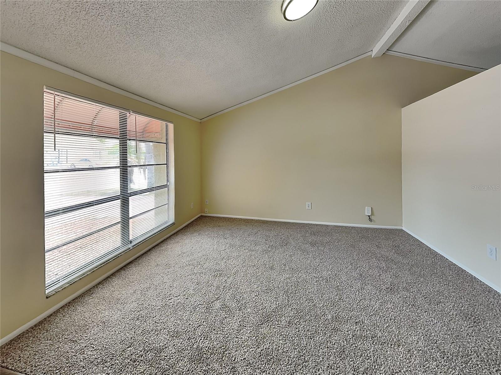 9515 LETTERSTONE CT, TAMPA, FL, 33615