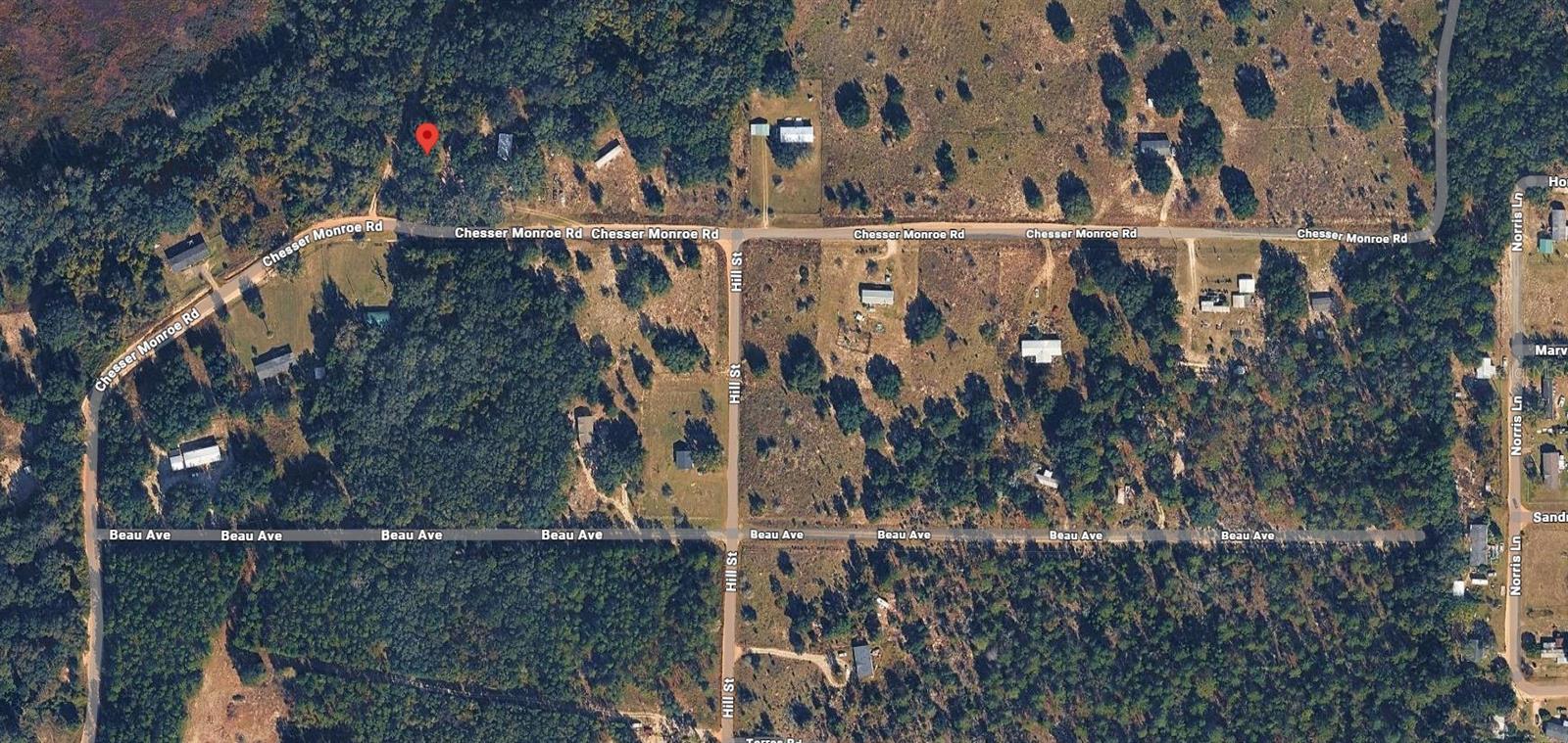 311 CHESSER MONROE RD, HAWTHORNE, FL, 32640