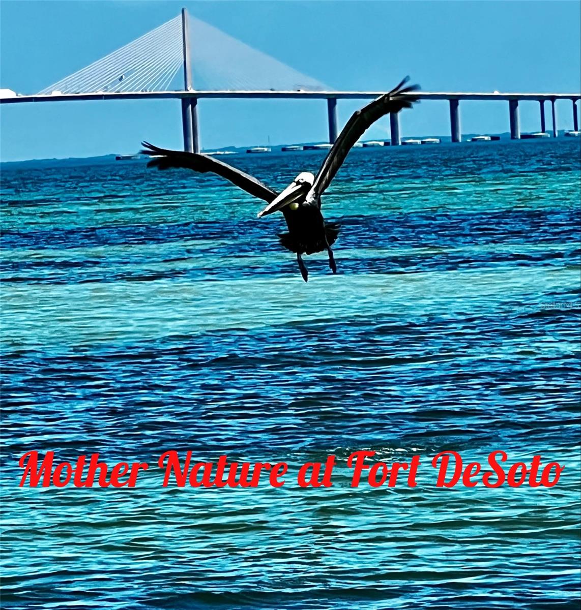 120 9TH ST E, TIERRA VERDE, FL, 33715