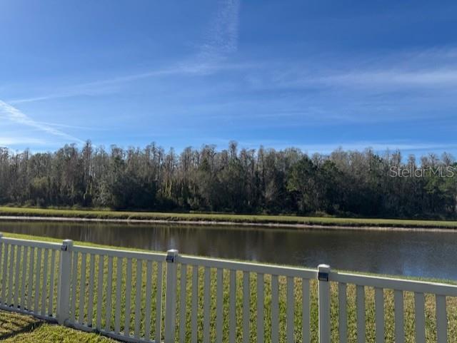 10662 PICTORIAL PARK DR, TAMPA, FL, 33647