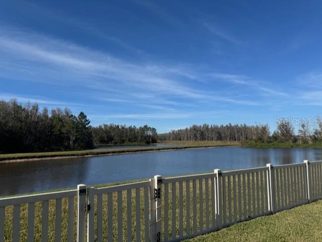 10662 PICTORIAL PARK DR, TAMPA, FL, 33647
