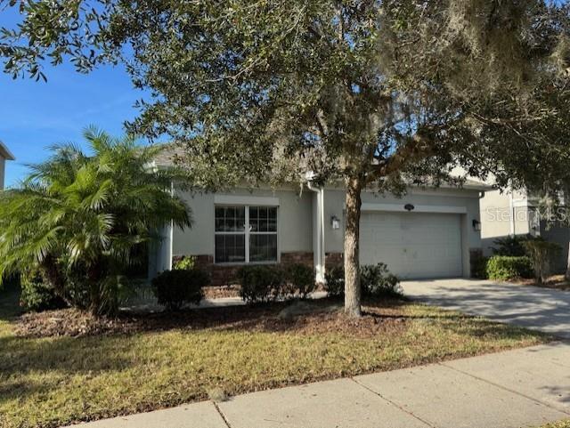 10662 PICTORIAL PARK DR, TAMPA, FL, 33647