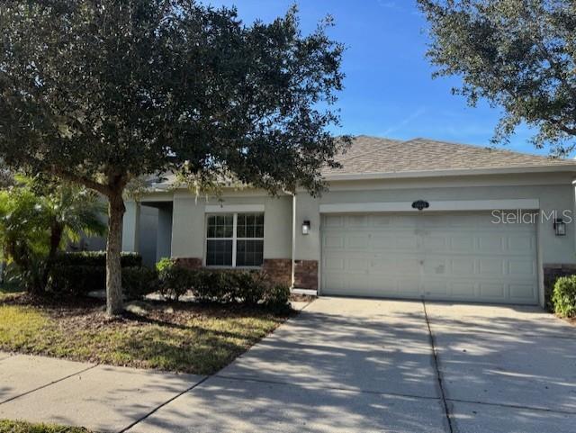 10662 PICTORIAL PARK DR, TAMPA, FL, 33647