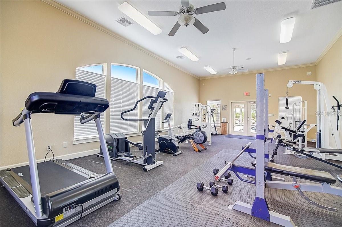 4333 BAYSIDE VILLAGE DR #128, TAMPA, FL, 33615