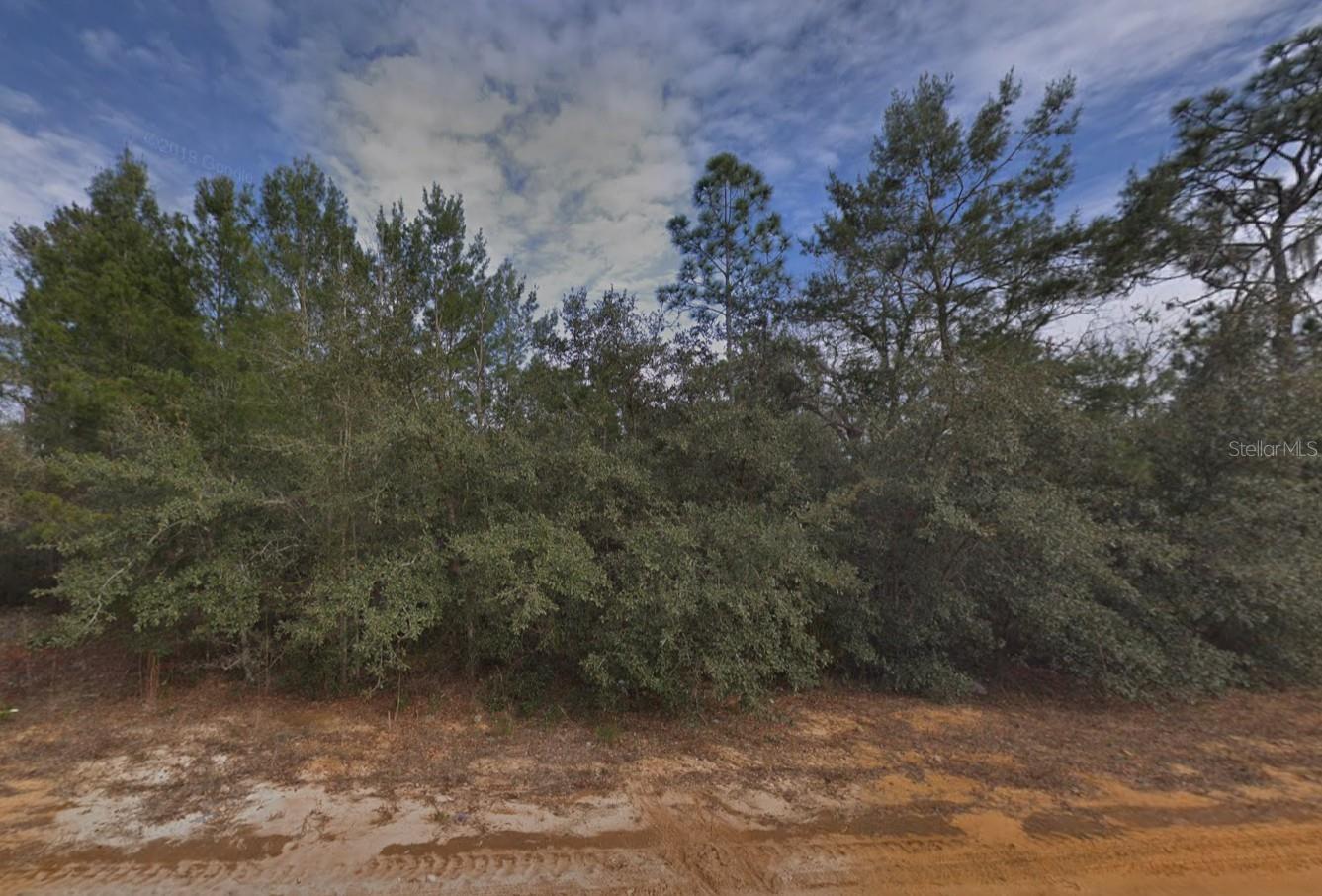 CREAGER AVE, INTERLACHEN, FL, 32148