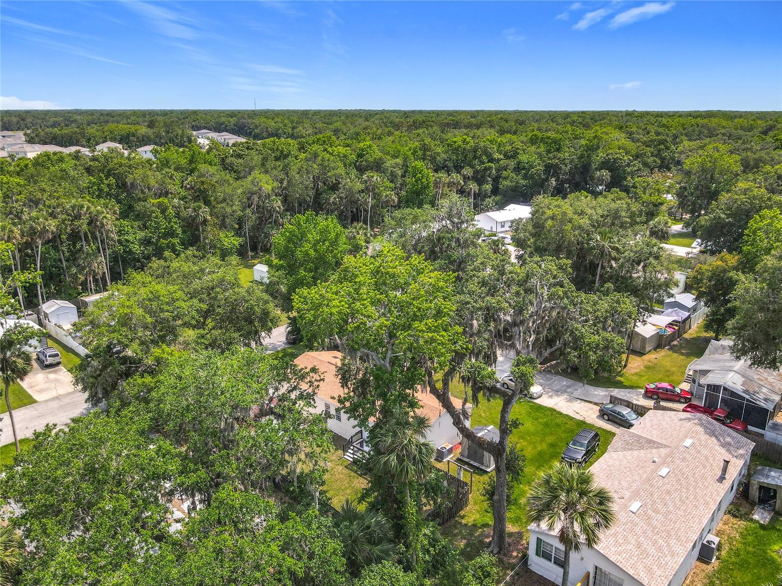1907 MADRE ST, NEW SMYRNA BEACH, FL, 32168