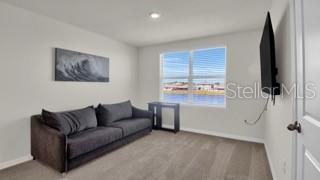 16747 SUNBURST LAKE ST, WIMAUMA, FL, 33598