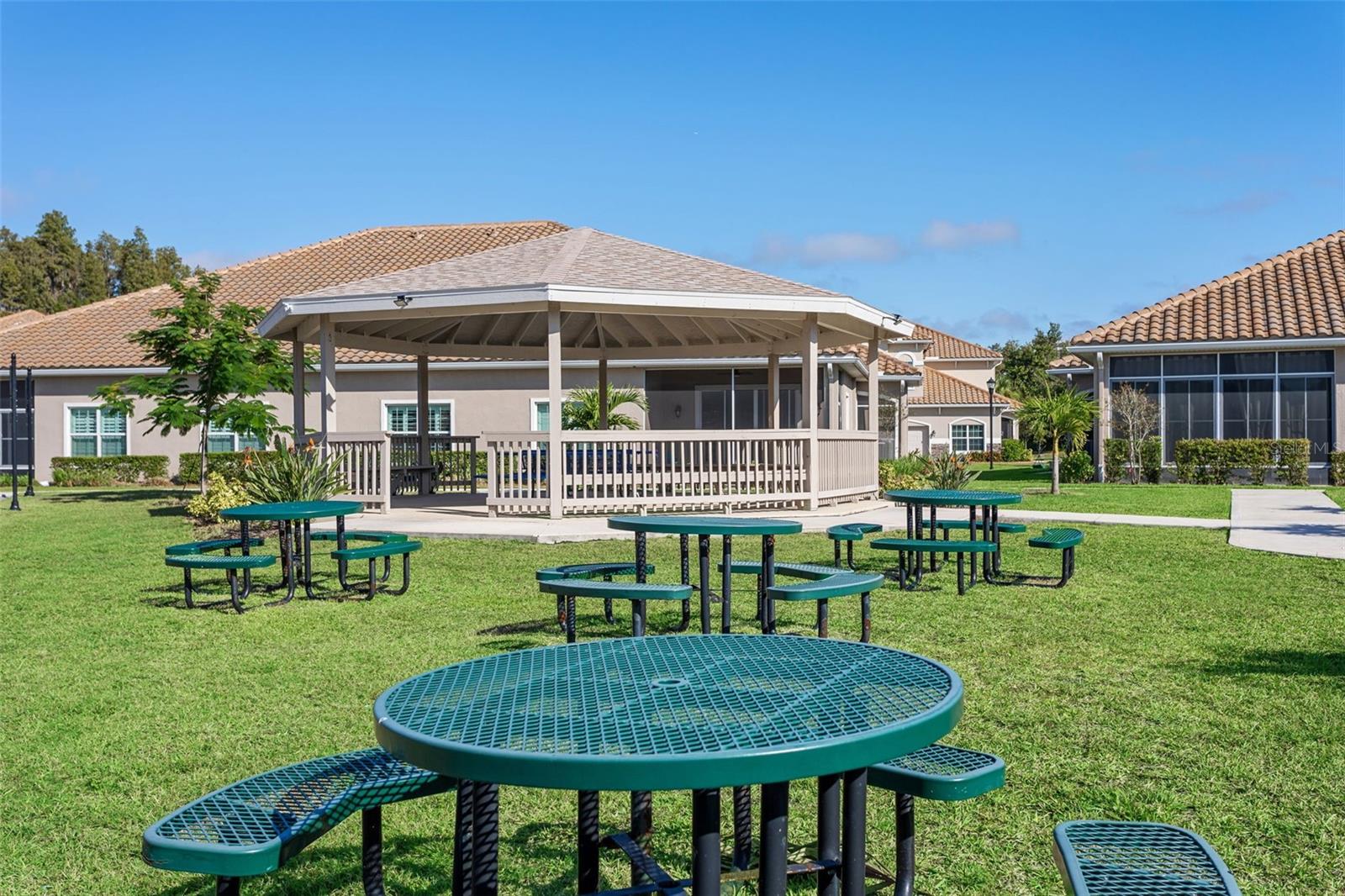 1195 GODAVARI WAY #105, WESLEY CHAPEL, FL, 33543