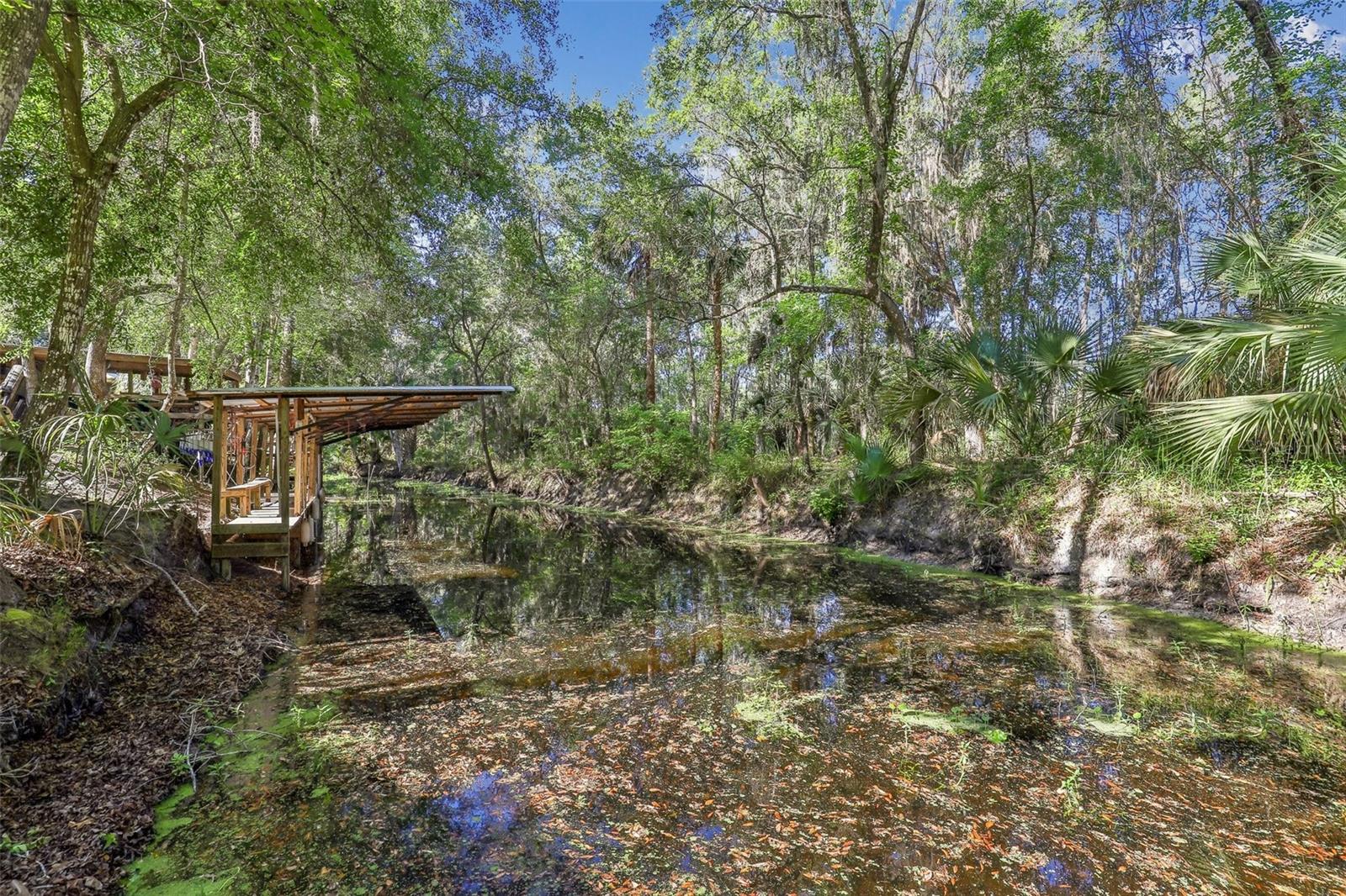 18930 NE 143RD AVE, FORT MC COY, FL, 32134