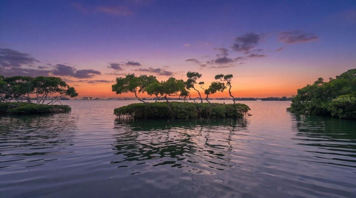 3620 FAIR OAKS PL, LONGBOAT KEY, FL, 34228