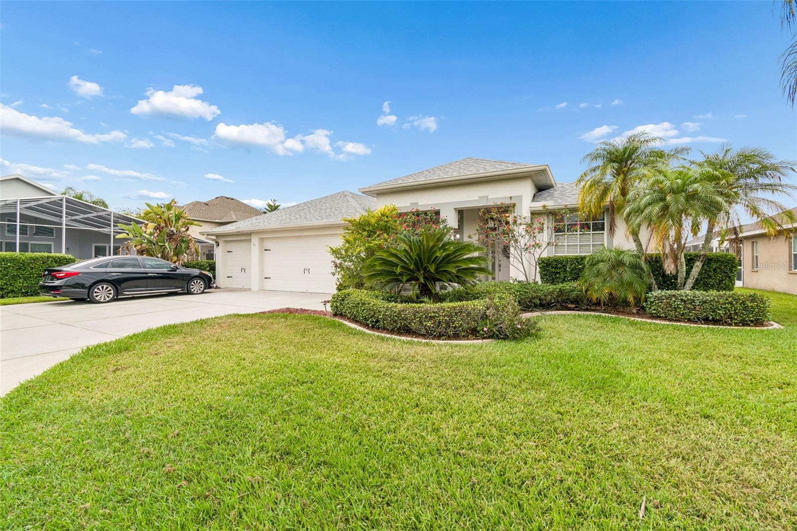 2006 MEADOW RUE CT, TRINITY, FL, 34655