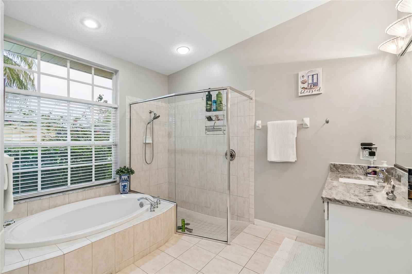 2006 MEADOW RUE CT, TRINITY, FL, 34655