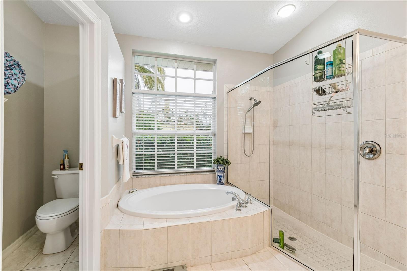 2006 MEADOW RUE CT, TRINITY, FL, 34655