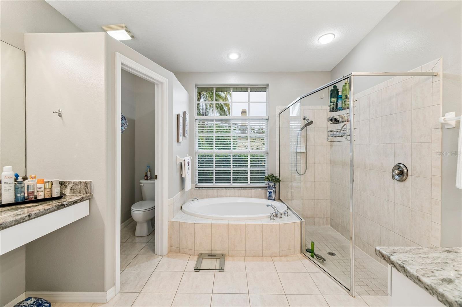 2006 MEADOW RUE CT, TRINITY, FL, 34655