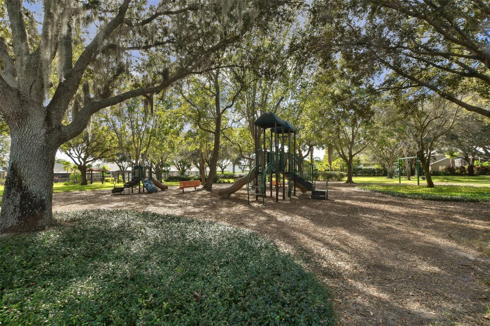 2006 MEADOW RUE CT, TRINITY, FL, 34655