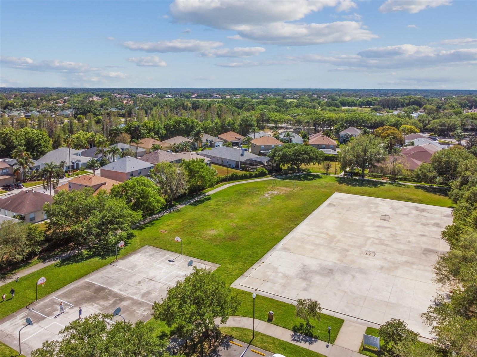 2006 MEADOW RUE CT, TRINITY, FL, 34655