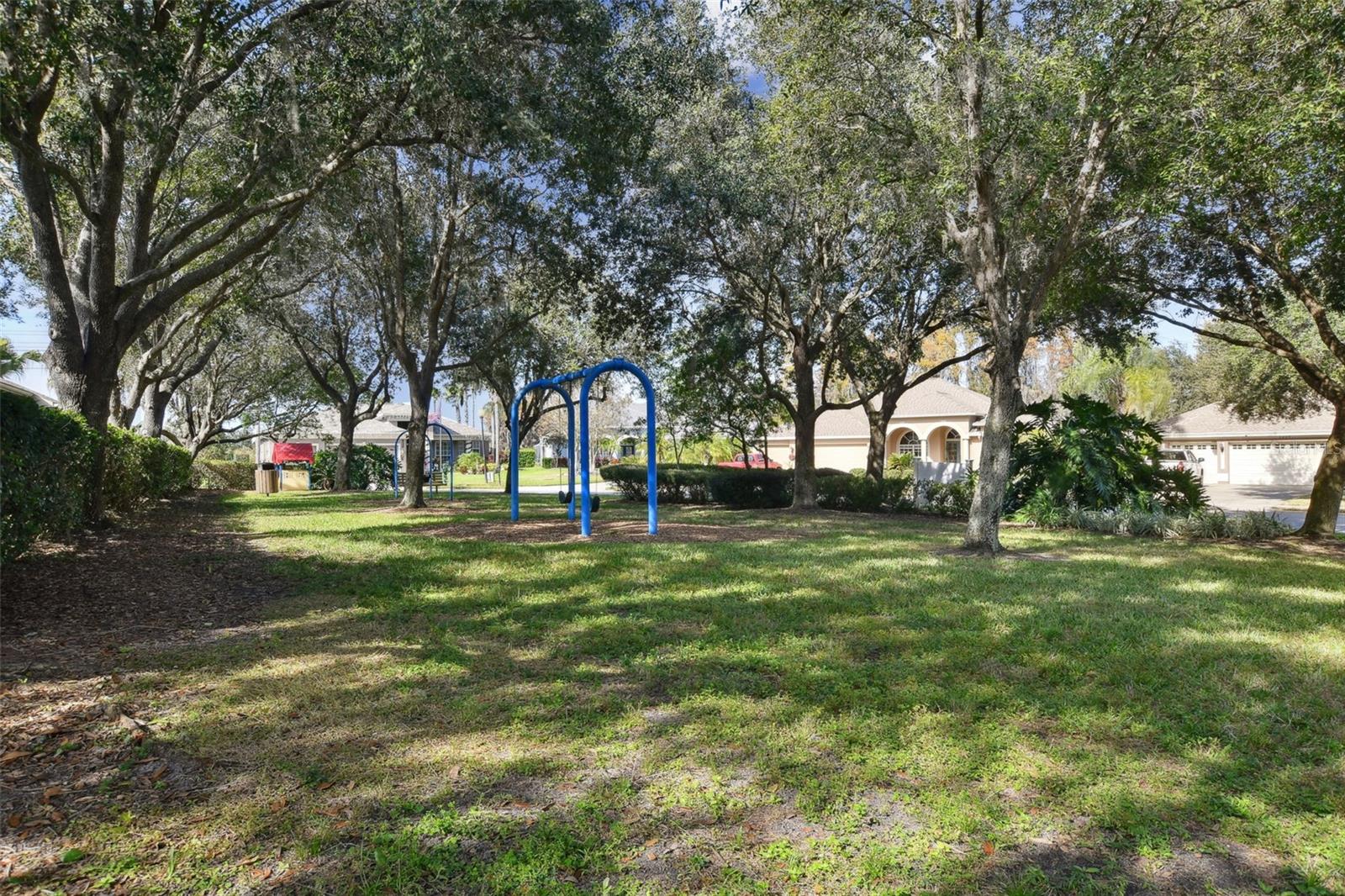 2006 MEADOW RUE CT, TRINITY, FL, 34655
