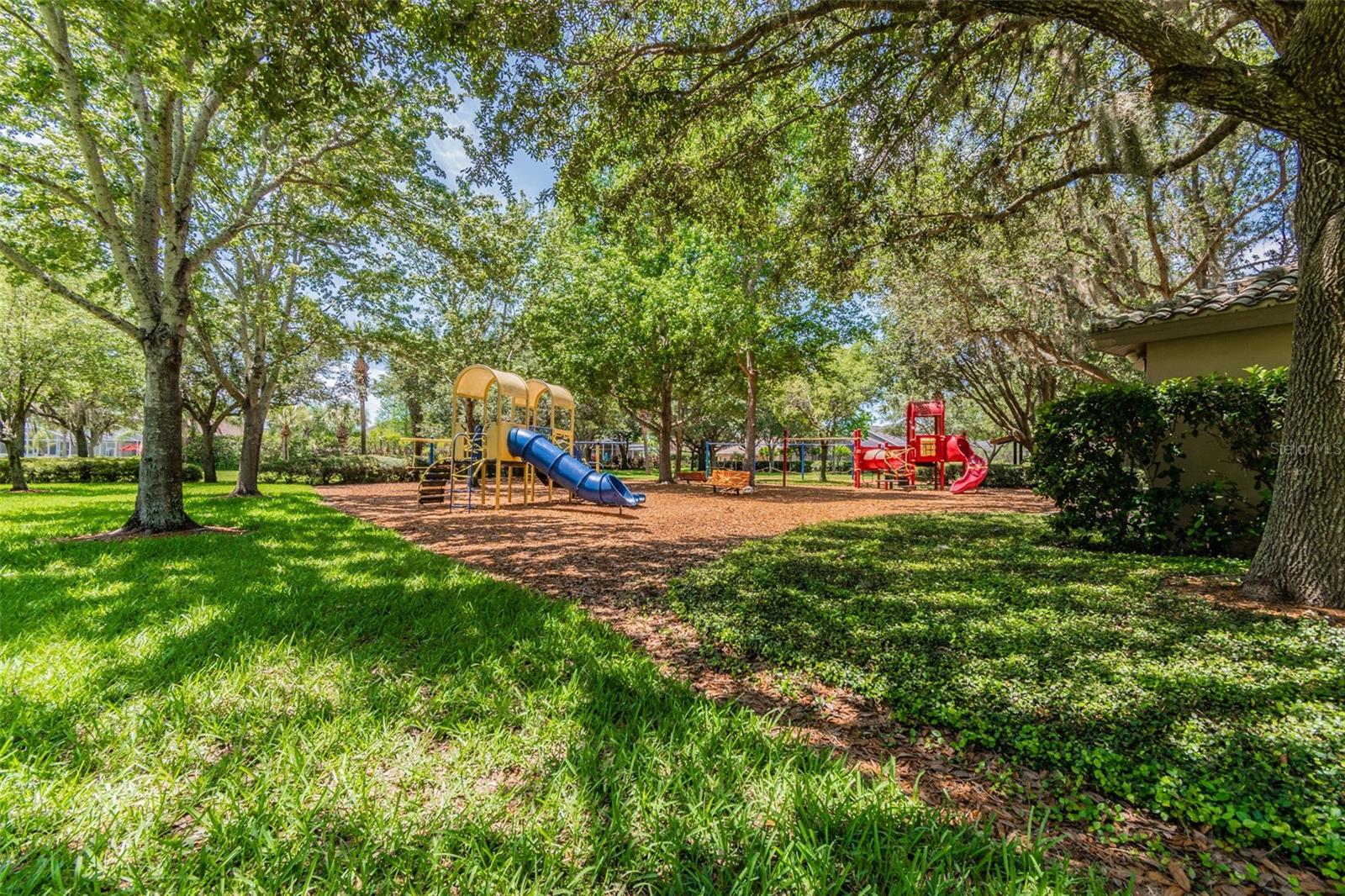 2006 MEADOW RUE CT, TRINITY, FL, 34655
