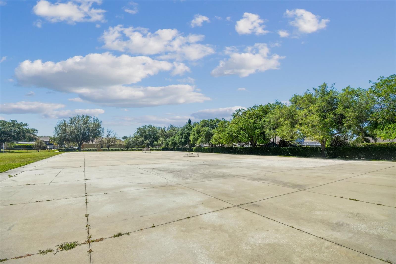 2006 MEADOW RUE CT, TRINITY, FL, 34655