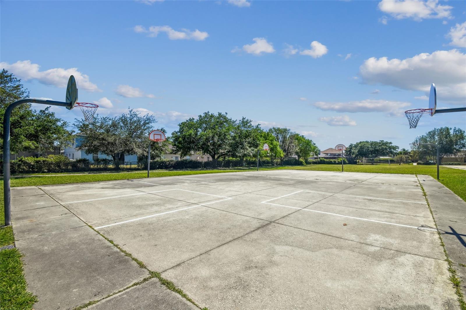 2006 MEADOW RUE CT, TRINITY, FL, 34655