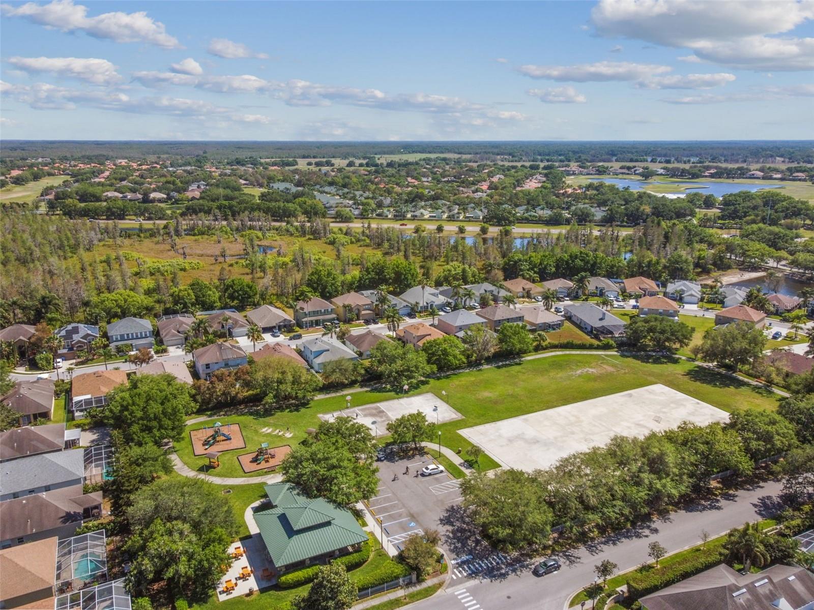 2006 MEADOW RUE CT, TRINITY, FL, 34655
