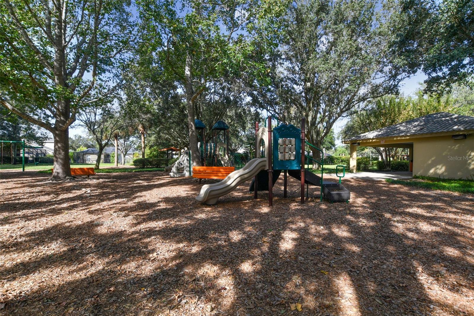 2006 MEADOW RUE CT, TRINITY, FL, 34655
