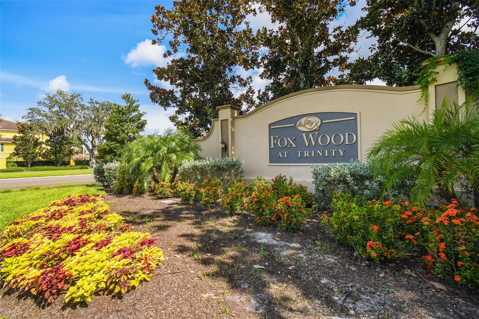 2006 MEADOW RUE CT, TRINITY, FL, 34655