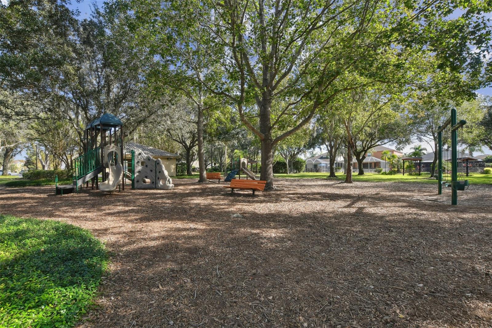 2006 MEADOW RUE CT, TRINITY, FL, 34655