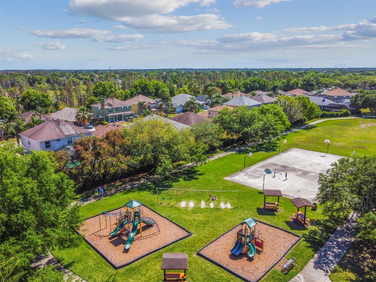2006 MEADOW RUE CT, TRINITY, FL, 34655