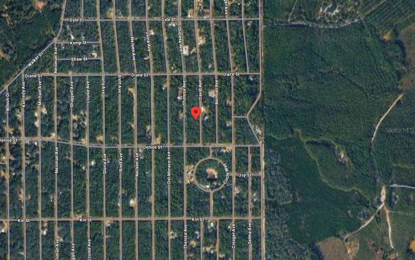 DAVID AVE, INTERLACHEN, FL, 32148
