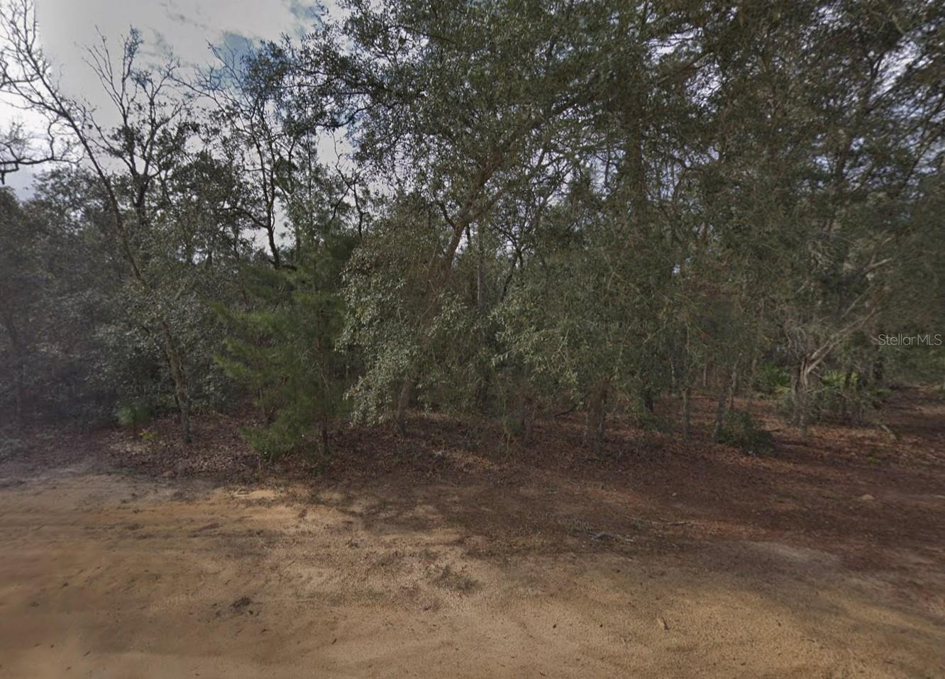 DAVID AVE, INTERLACHEN, FL, 32148