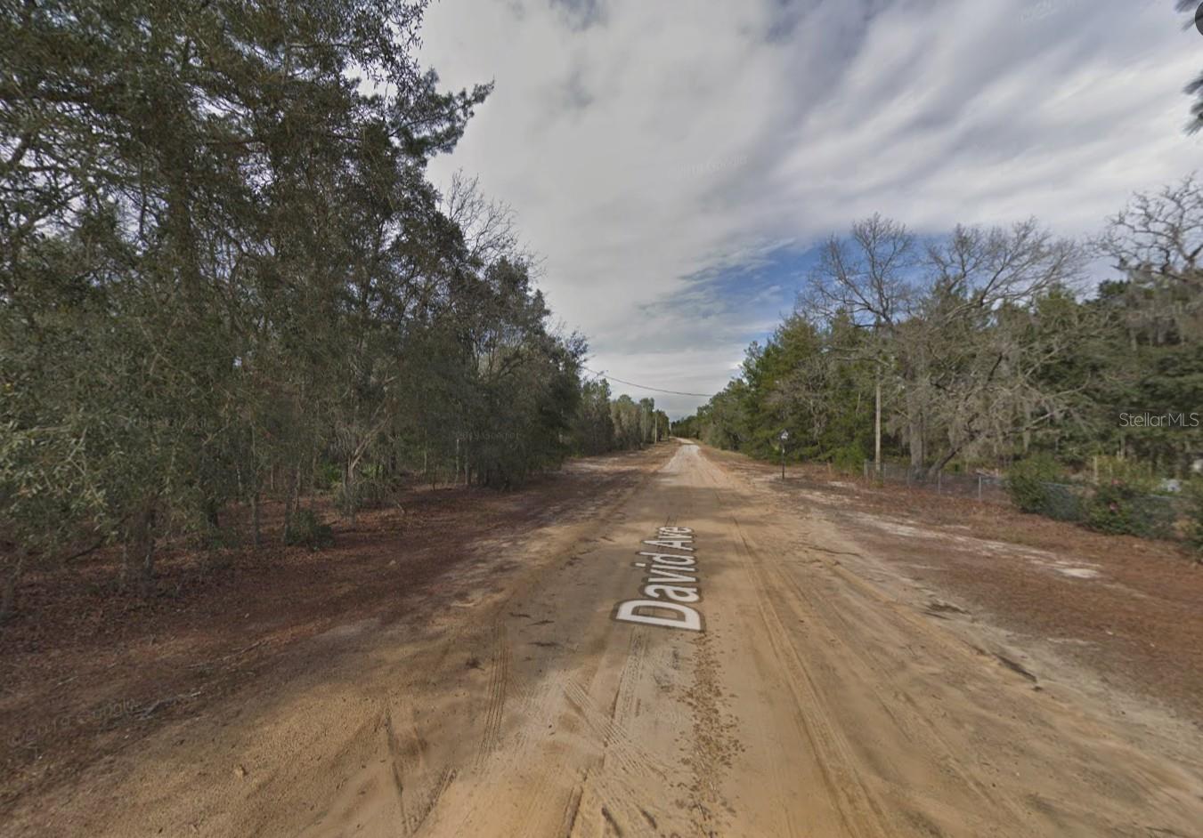 DAVID AVE, INTERLACHEN, FL, 32148