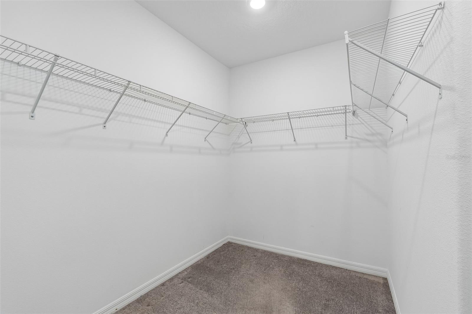 10072 BRANCHING SHIP TRCE, WESLEY CHAPEL, FL, 33545