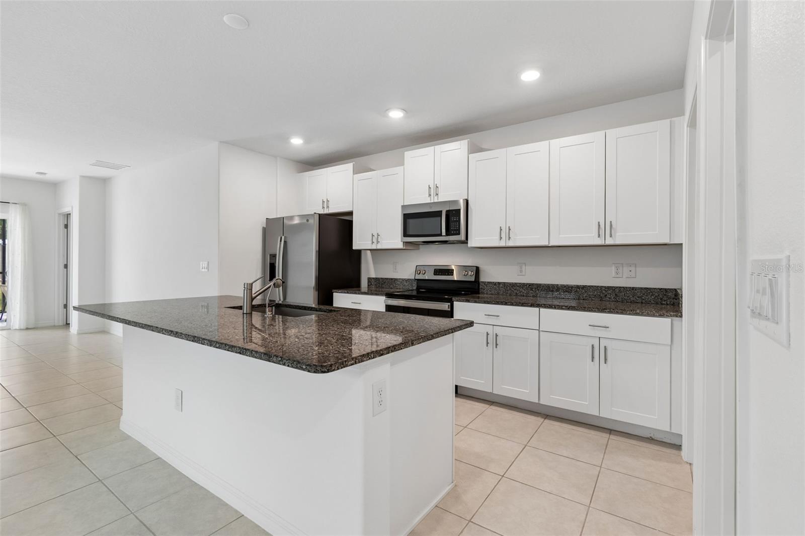 10072 BRANCHING SHIP TRCE, WESLEY CHAPEL, FL, 33545