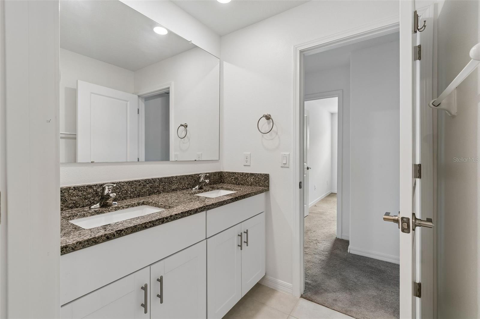 10072 BRANCHING SHIP TRCE, WESLEY CHAPEL, FL, 33545
