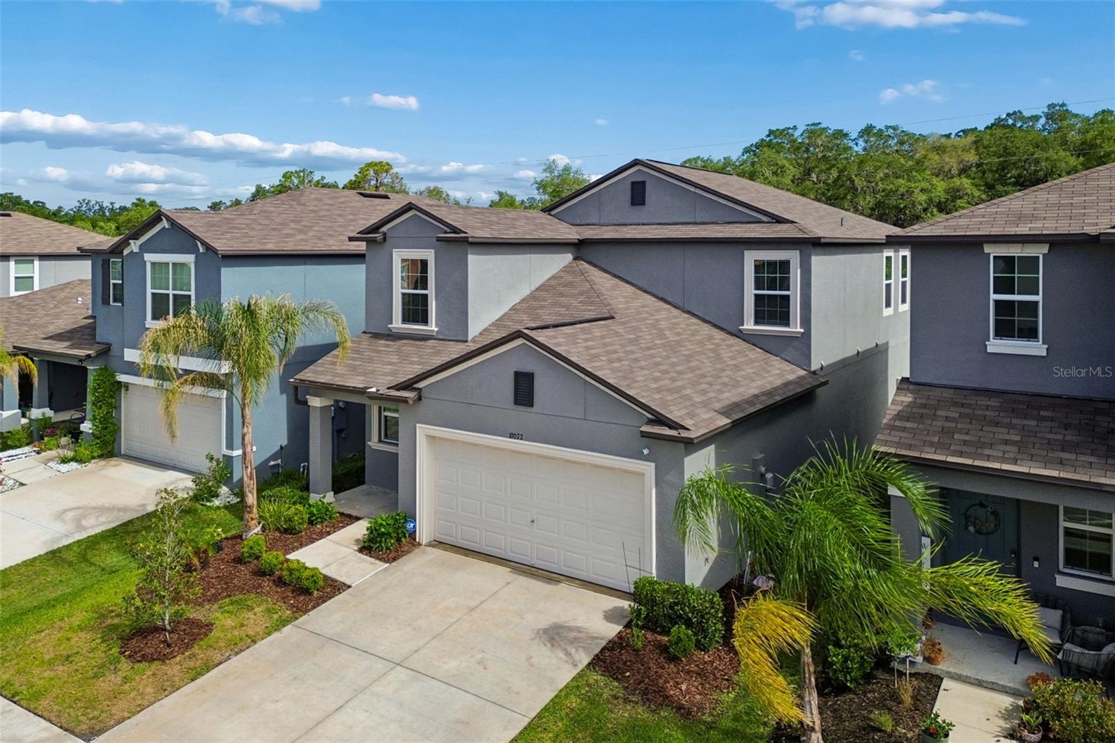 10072 BRANCHING SHIP TRCE, WESLEY CHAPEL, FL, 33545