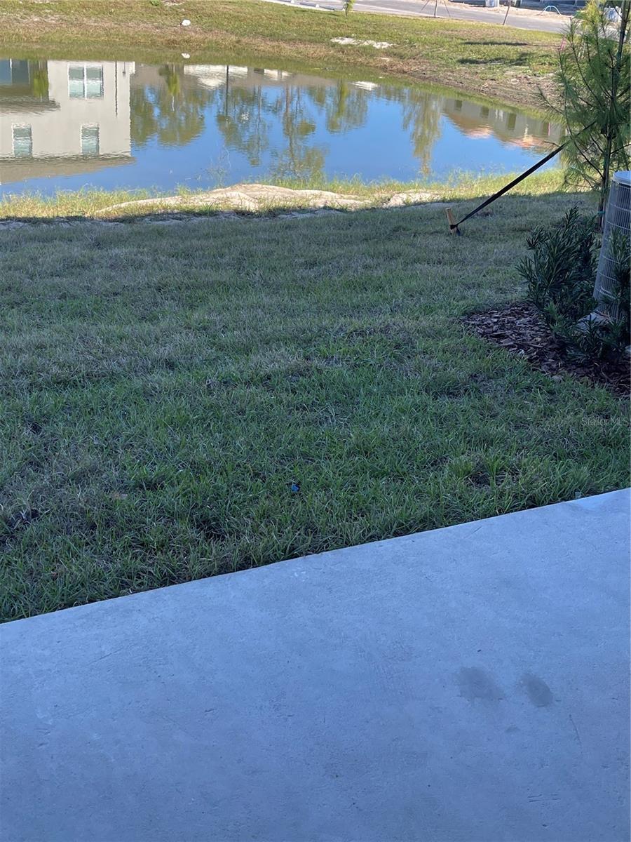 36217 RISA MICHELE ST, ZEPHYRHILLS, FL, 33541