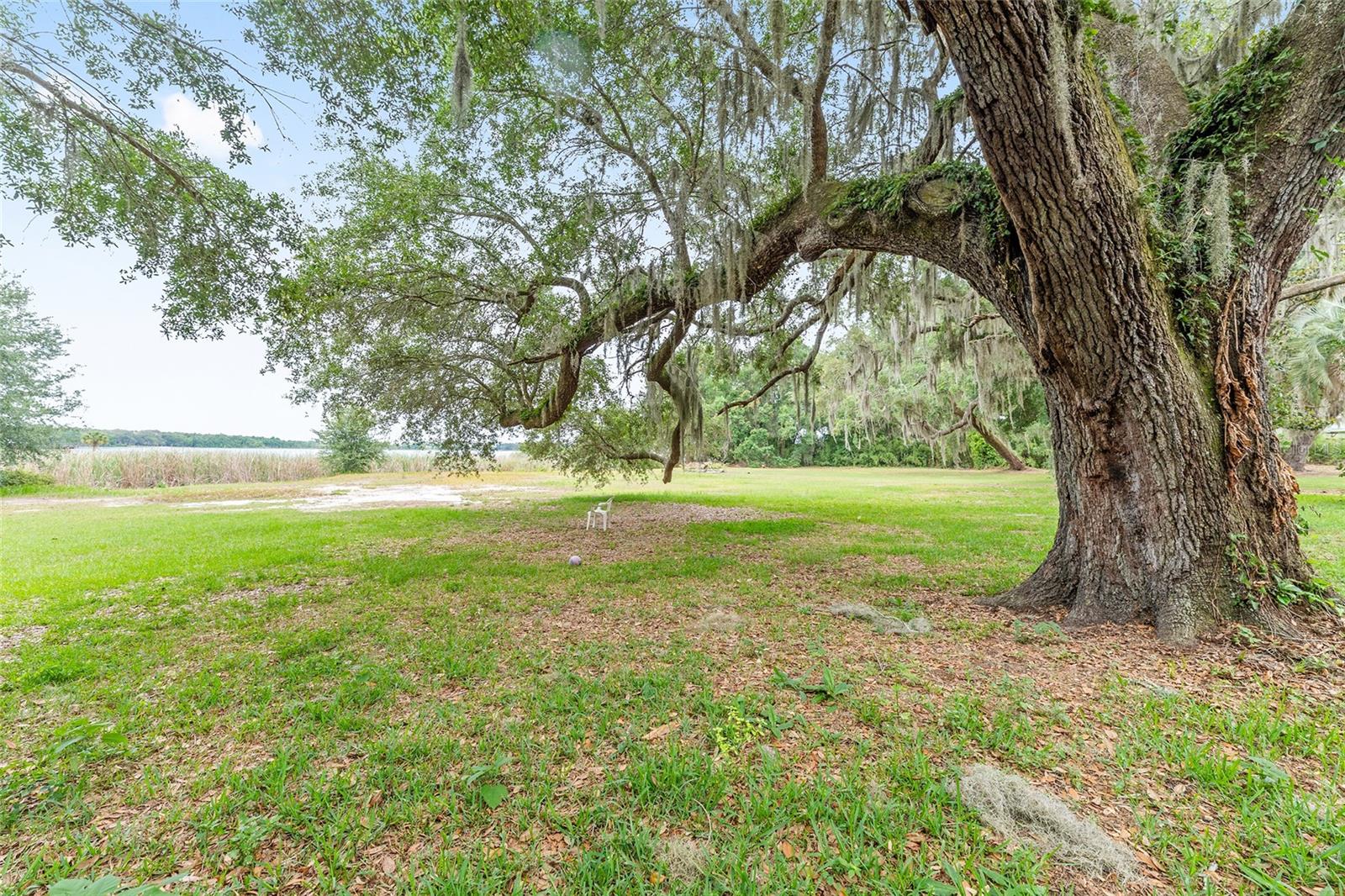 13395 SE 106TH AVE, OCKLAWAHA, FL, 32179